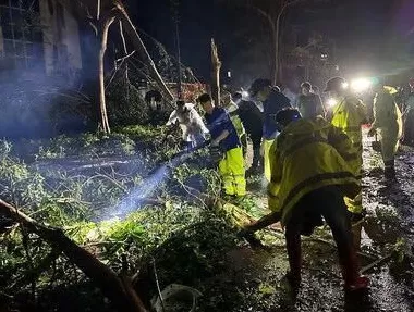 “桦加沙”登陆后的20小时,阳江怎样了?-第35张图片- “桦加沙”登陆后的20小时,阳江怎样了?-第35张图片-