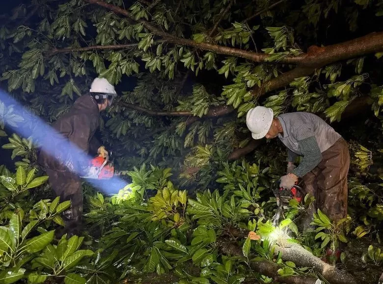 “桦加沙”登陆后的20小时,阳江怎样了?-第38张图片- “桦加沙”登陆后的20小时,阳江怎样了?-第38张图片-