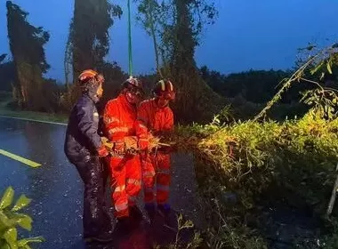“桦加沙”登陆后的20小时,阳江怎样了?-第37张图片- “桦加沙”登陆后的20小时,阳江怎样了?-第37张图片-