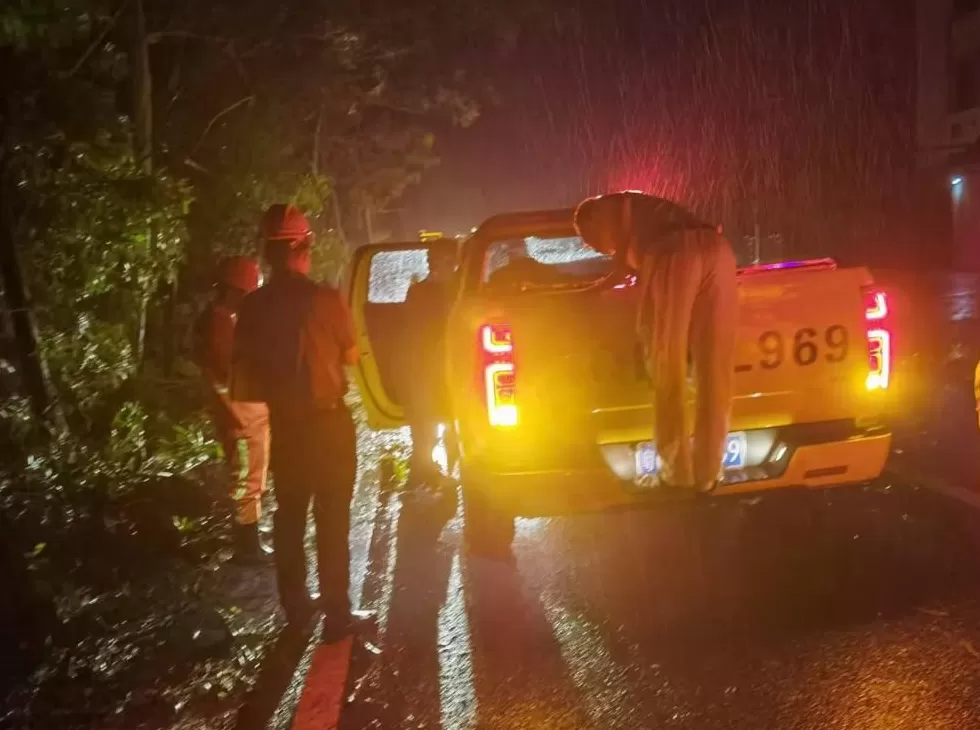 “桦加沙”登陆后的20小时,阳江怎样了?-第39张图片- “桦加沙”登陆后的20小时,阳江怎样了?-第39张图片-