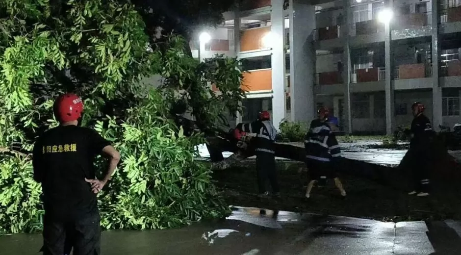 “桦加沙”登陆后的20小时,阳江怎样了?-第40张图片- “桦加沙”登陆后的20小时,阳江怎样了?-第40张图片-