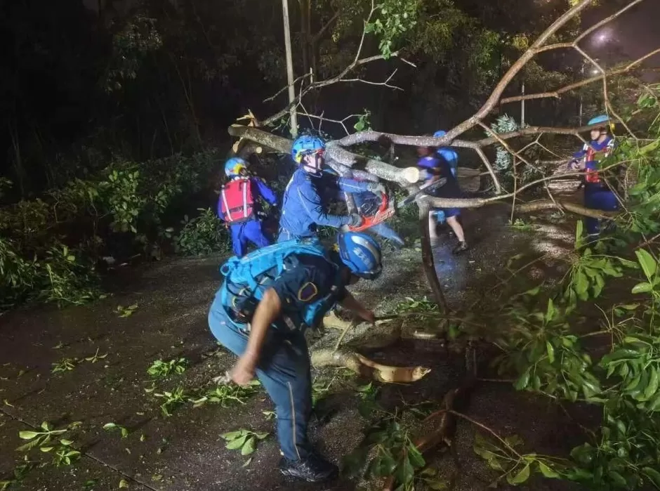 “桦加沙”登陆后的20小时,阳江怎样了?-第41张图片- “桦加沙”登陆后的20小时,阳江怎样了?-第41张图片-