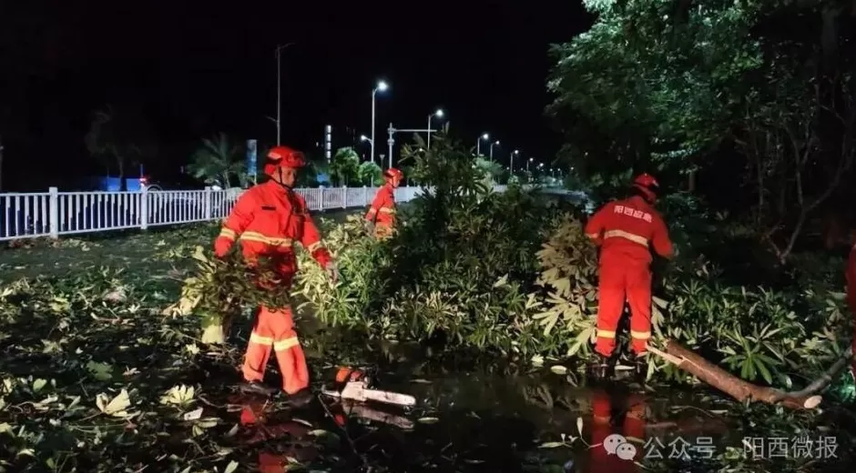 “桦加沙”登陆后的20小时,阳江怎样了?-第42张图片- “桦加沙”登陆后的20小时,阳江怎样了?-第42张图片-