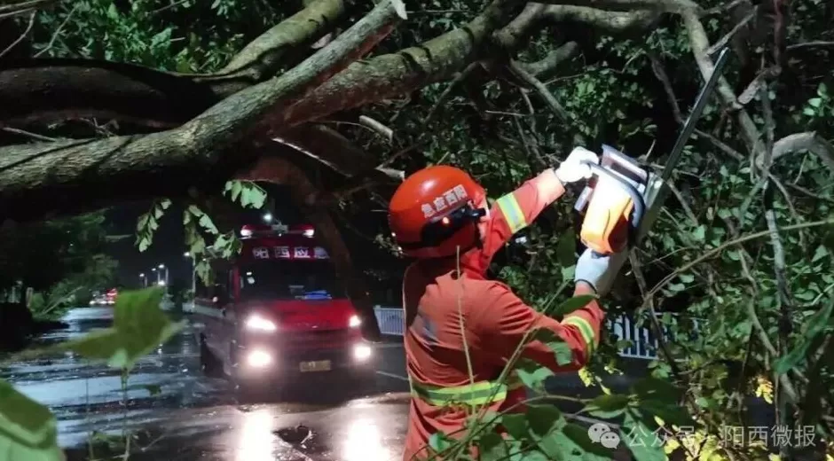 “桦加沙”登陆后的20小时,阳江怎样了?-第43张图片- “桦加沙”登陆后的20小时,阳江怎样了?-第43张图片-