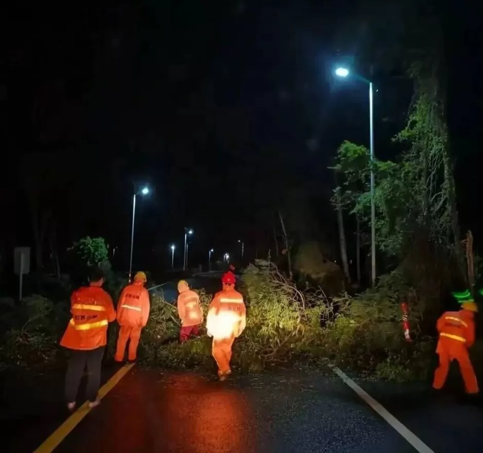 “桦加沙”登陆后的20小时,阳江怎样了?-第44张图片- “桦加沙”登陆后的20小时,阳江怎样了?-第44张图片-