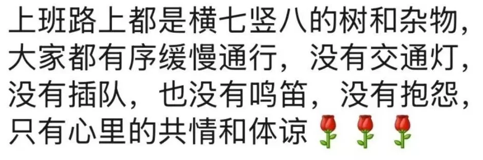 “桦加沙”登陆后的20小时,阳江怎样了?-第48张图片- “桦加沙”登陆后的20小时,阳江怎样了?-第48张图片-
