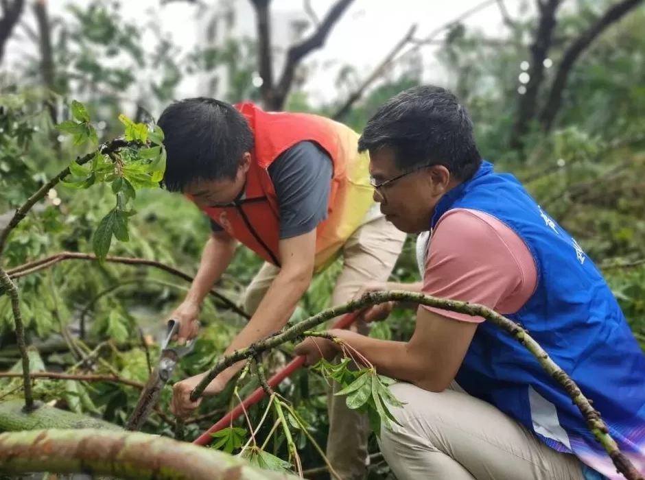 “桦加沙”登陆后的20小时,阳江怎样了?-第50张图片- “桦加沙”登陆后的20小时,阳江怎样了?-第50张图片-