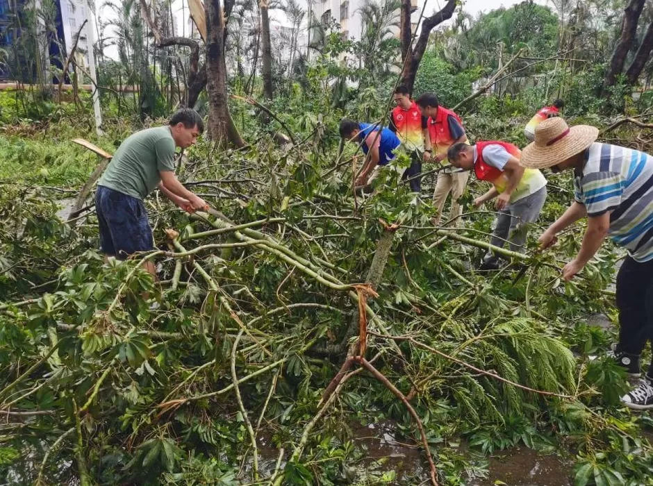 “桦加沙”登陆后的20小时,阳江怎样了?-第51张图片- “桦加沙”登陆后的20小时,阳江怎样了?-第51张图片-