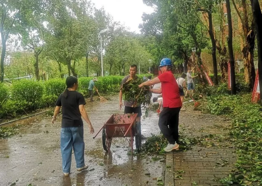 “桦加沙”登陆后的20小时,阳江怎样了?-第54张图片- “桦加沙”登陆后的20小时,阳江怎样了?-第54张图片-