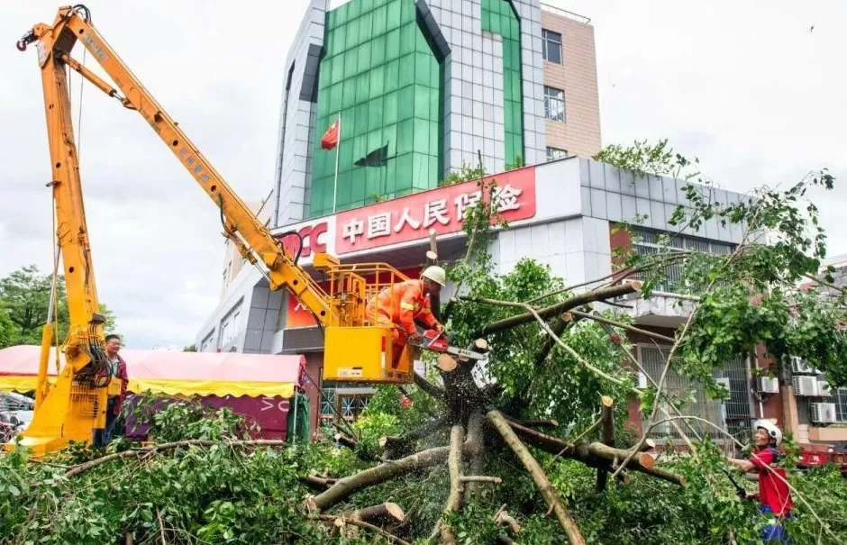 “桦加沙”登陆后的20小时,阳江怎样了?-第55张图片- “桦加沙”登陆后的20小时,阳江怎样了?-第55张图片-