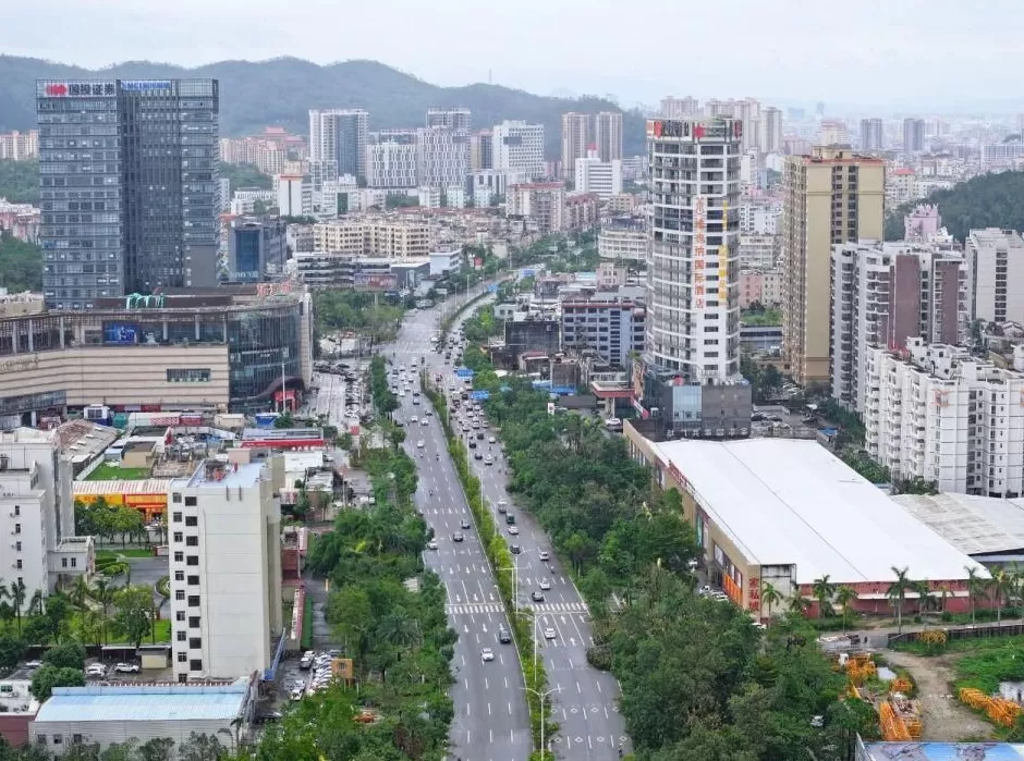 “桦加沙”登陆后的20小时,阳江怎样了?-第57张图片- “桦加沙”登陆后的20小时,阳江怎样了?-第57张图片-