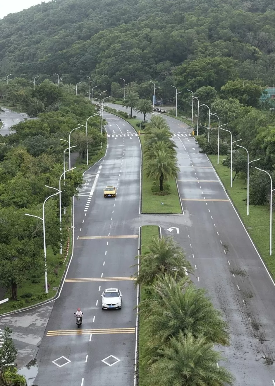 “桦加沙”登陆后的20小时,阳江怎样了?-第56张图片- “桦加沙”登陆后的20小时,阳江怎样了?-第56张图片-