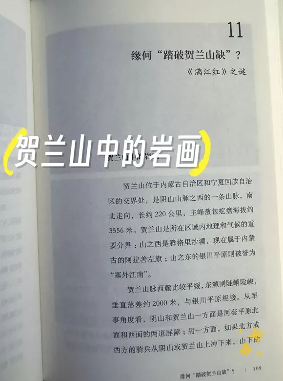 书单｜人在工位，心已飞往旷野-第10张图片-