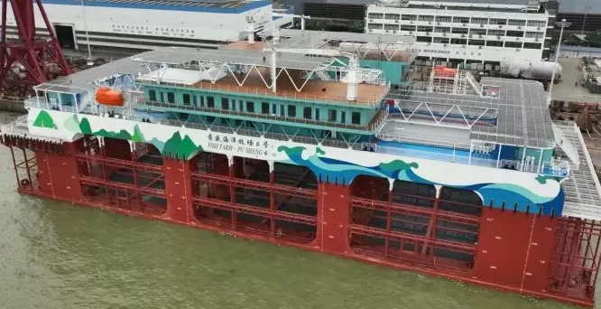 广州文冲船舶淹溺致3人死亡事故评估报告：2人被移送检察院审查起诉-第1张图片-