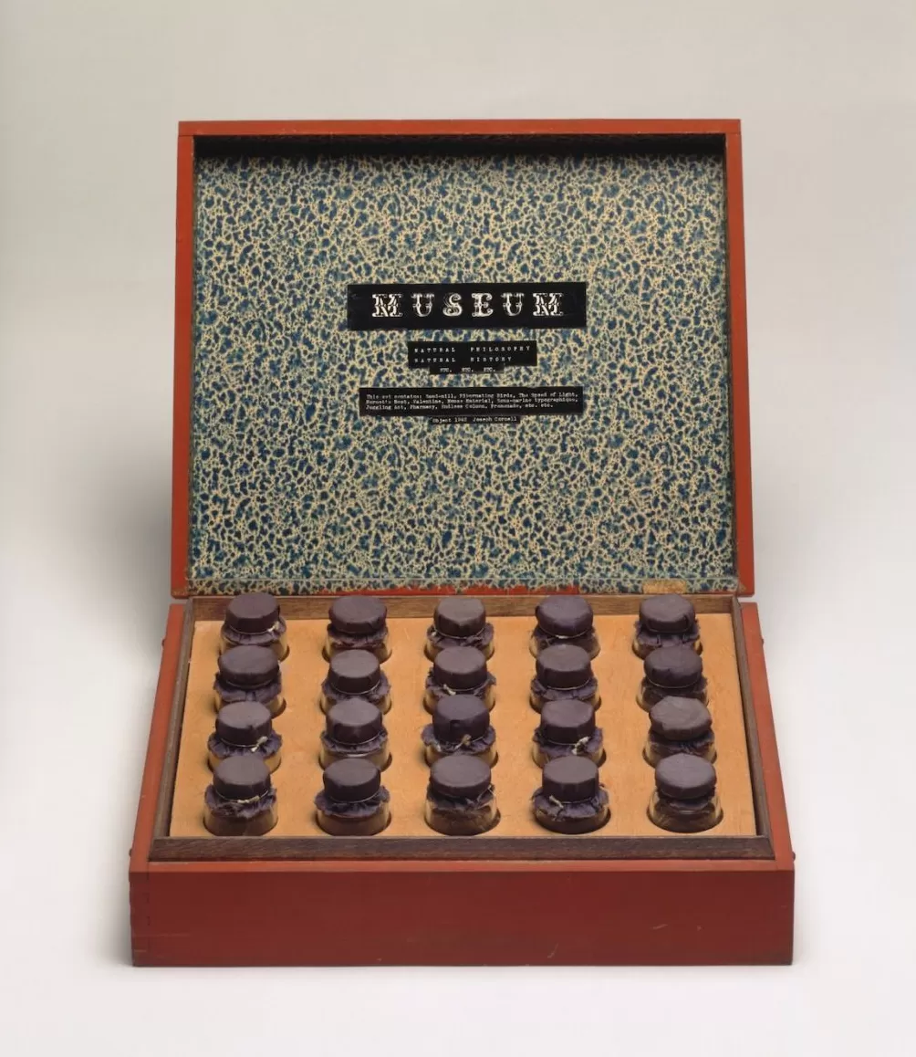 人人都是艺术家？去上海西岸看“激浪派”特展-第10张图片-