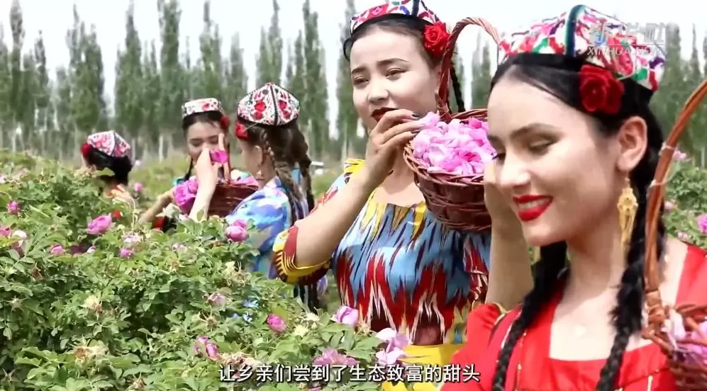 砥砺奋进七十载天山南北谱华章丨新疆“库尔班大叔”后人：曾外祖父的心愿实现了-第3张图片-