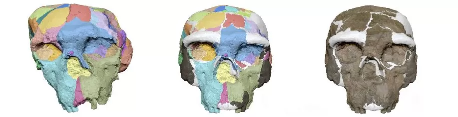 最新研究刷新人类演化时间线-第2张图片-