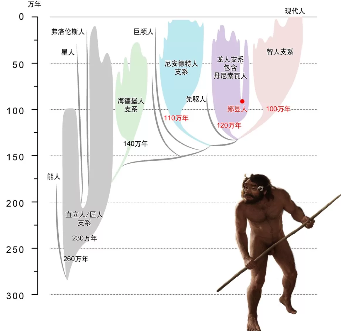 最新研究刷新人类演化时间线-第1张图片-