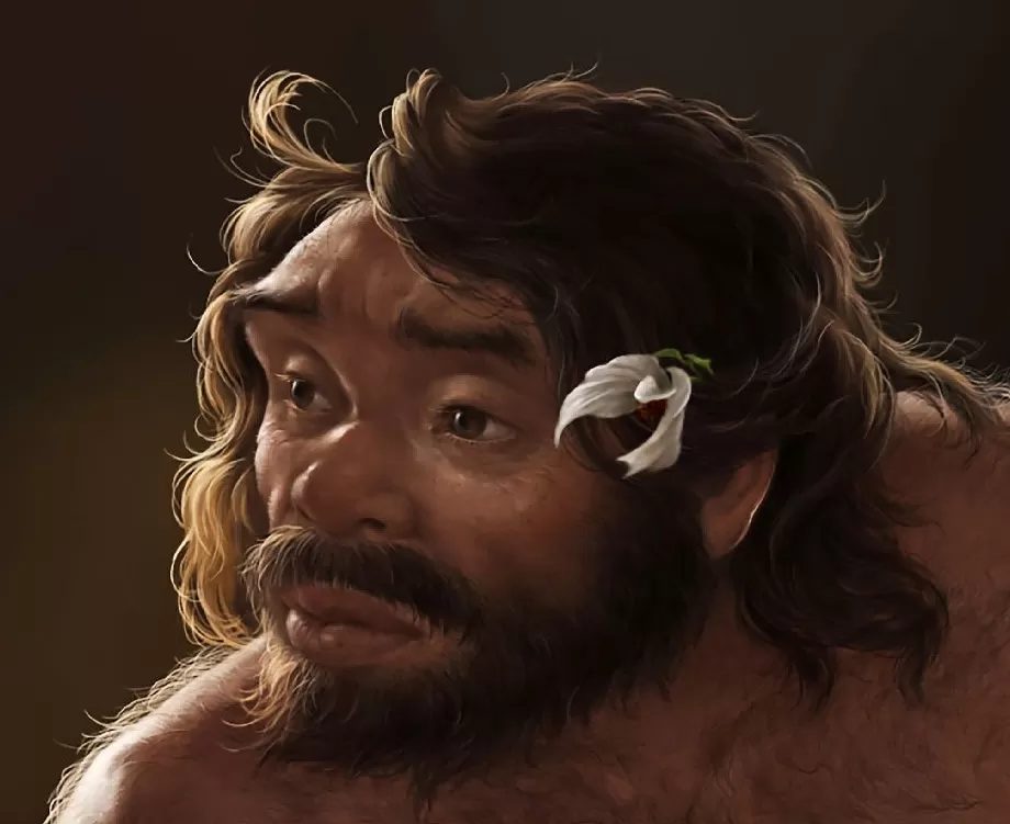 最新研究刷新人类演化时间线-第3张图片-