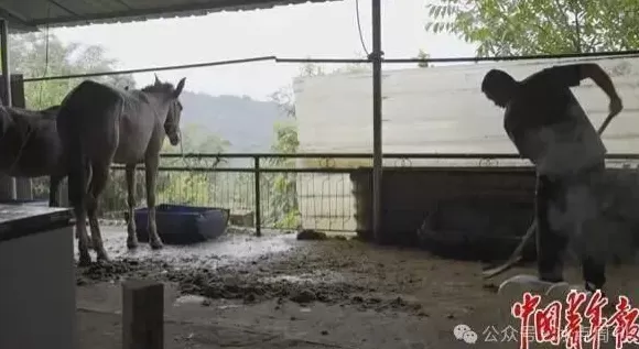 只有马知道-第3张图片-