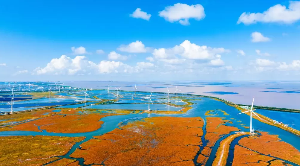 强强联合，宁德时代落子“海上风电第一城”盐城-第1张图片-
