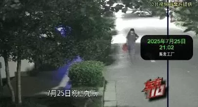 上海一职员“男扮女装”深夜潜入公司，被抓后痛悔：对不起我老婆-第12张图片-