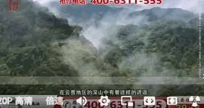 电视台上的神药广告，早该管管了-第12张图片-