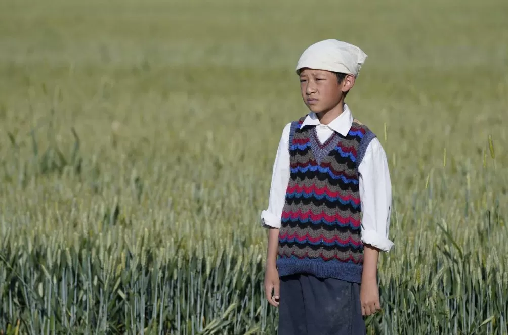 三大国际电影节获奖导演平遥对话，哪些中国故事更受青睐-第7张图片-