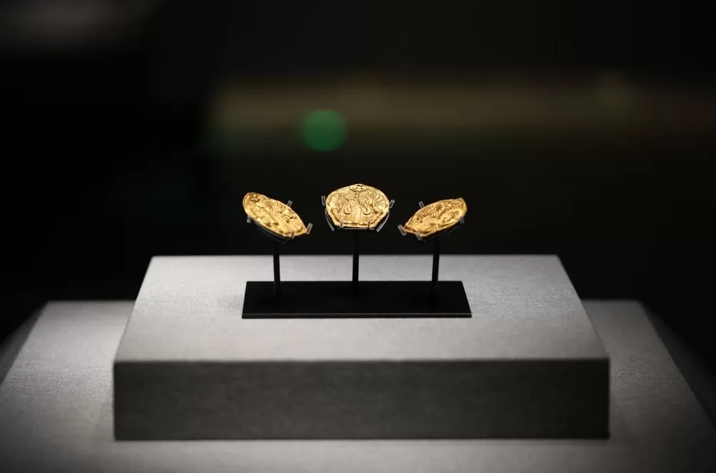 “帝国南疆——西汉南越国历史文化展”在南昌开展：展期为三个月-第4张图片-