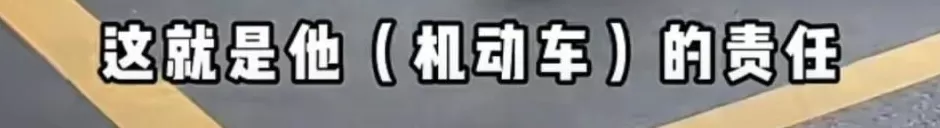 事发上海街头！男子闯红灯被撞后怒吼：千错万错，机动车不能撞人-第6张图片-