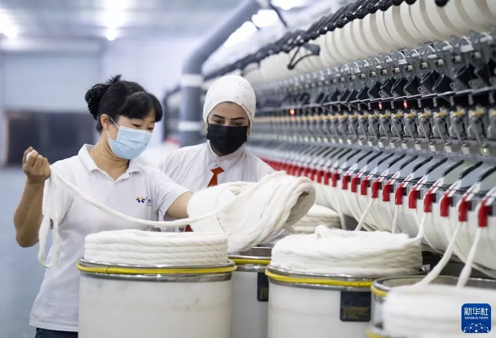 通讯丨“在小小棉花里找到通向幸福的路”——中塔农业合作造福当地百姓-第4张图片-