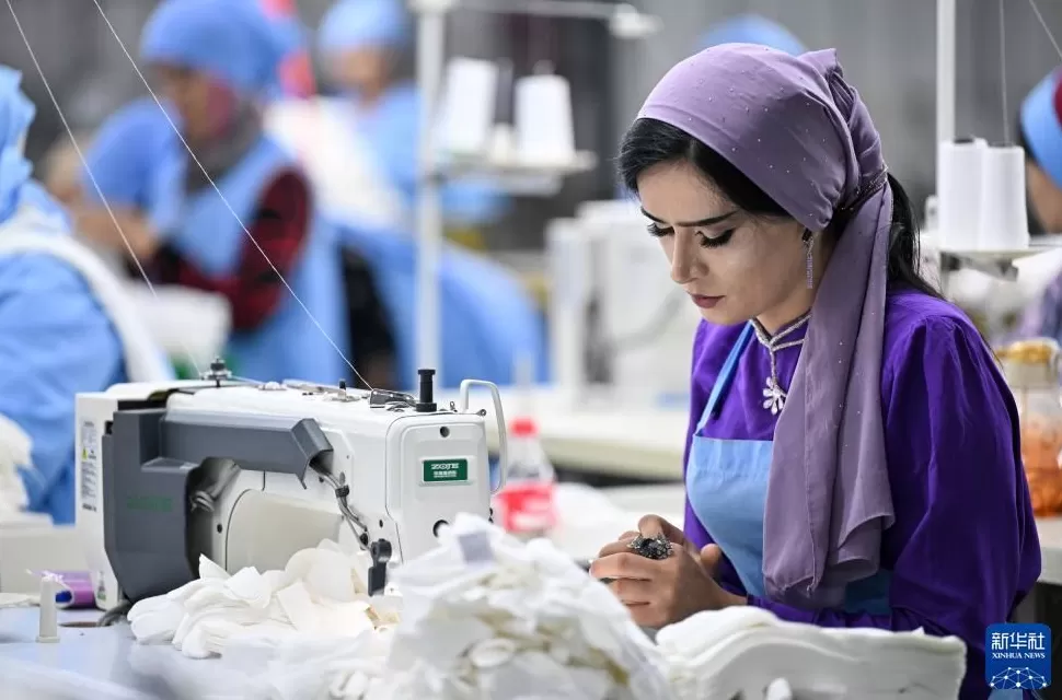 通讯丨“在小小棉花里找到通向幸福的路”——中塔农业合作造福当地百姓-第6张图片-