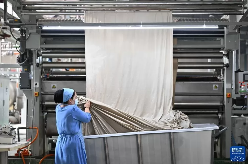 通讯丨“在小小棉花里找到通向幸福的路”——中塔农业合作造福当地百姓-第5张图片-