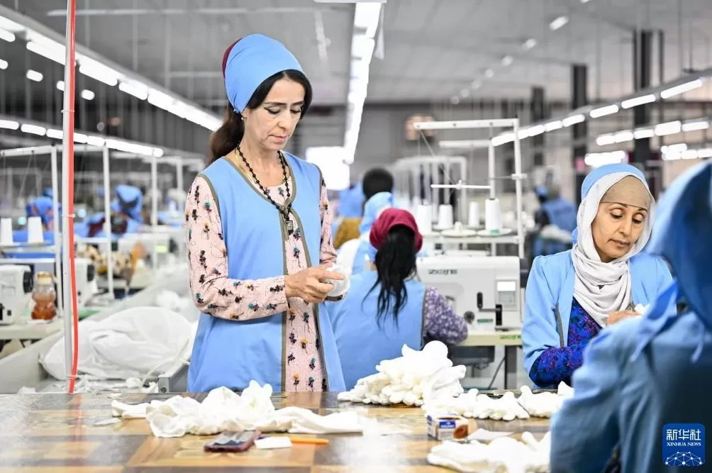 通讯丨“在小小棉花里找到通向幸福的路”——中塔农业合作造福当地百姓-第7张图片-