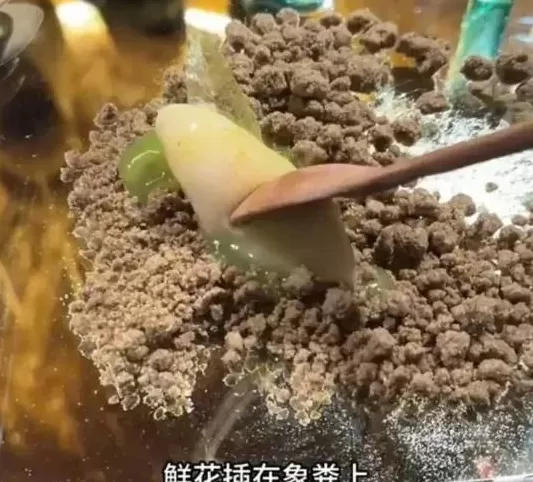 给顾客吃大象粪的“云南菜”，为什么那么火？-第2张图片-