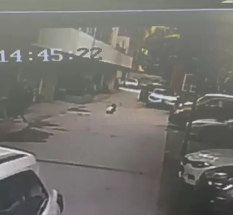 成都5岁女童被特斯拉碾过致死案，车主服刑十月已满：接下来将起诉特斯拉-第4张图片-