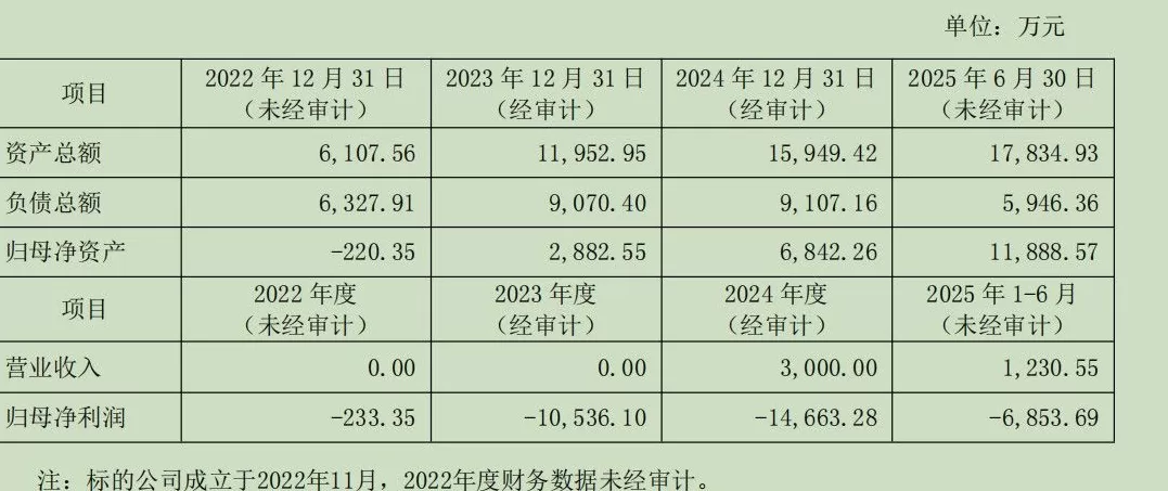 *ST仁东亿元“跨界”布局AI芯片，高溢价投资背后有哪些风险？-第5张图片-