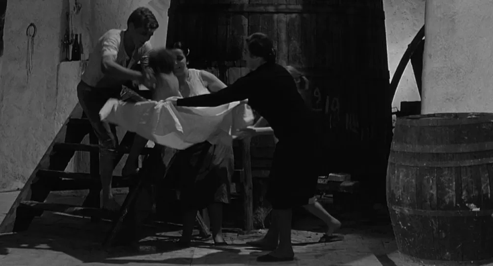 这部挑战主流电影美学的影片何以经典-第3张图片-