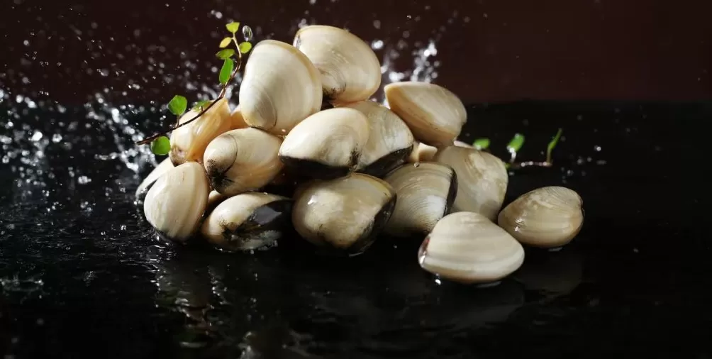 识味顺德︱顺德粥水火锅中鼎沸的美味乾坤-第4张图片-