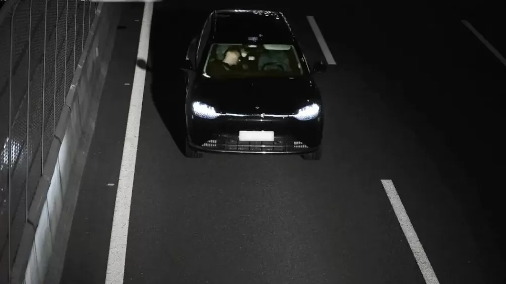 马上评｜酒后用“智驾神器”开车，刑责是对多方提醒-第1张图片-