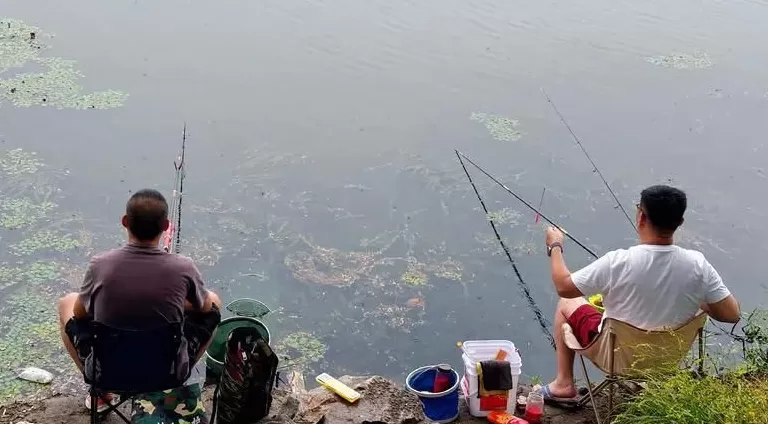 中国钓鱼第一大省，究竟是谁？-第1张图片-