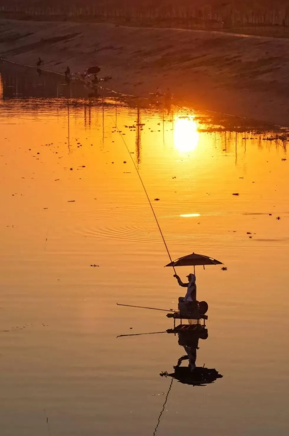 中国钓鱼第一大省，究竟是谁？-第5张图片-