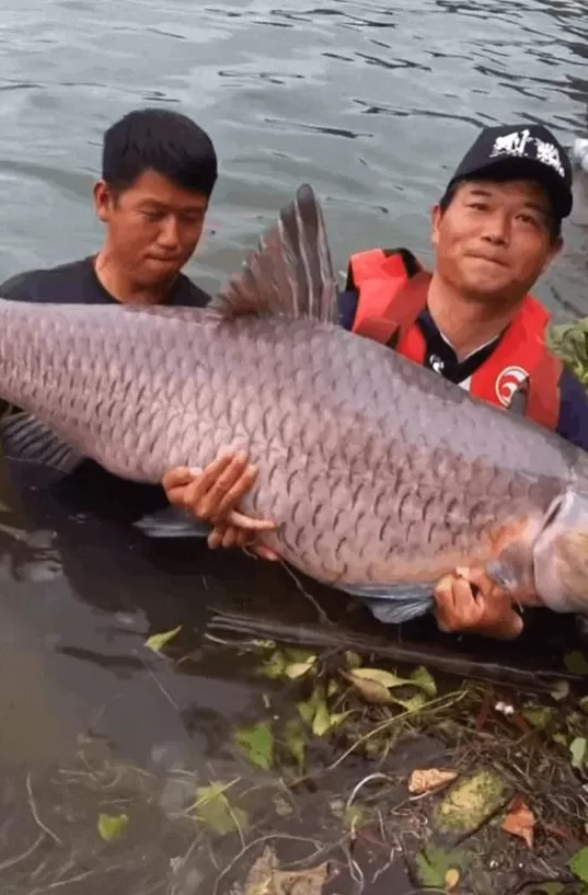 中国钓鱼第一大省，究竟是谁？-第9张图片-