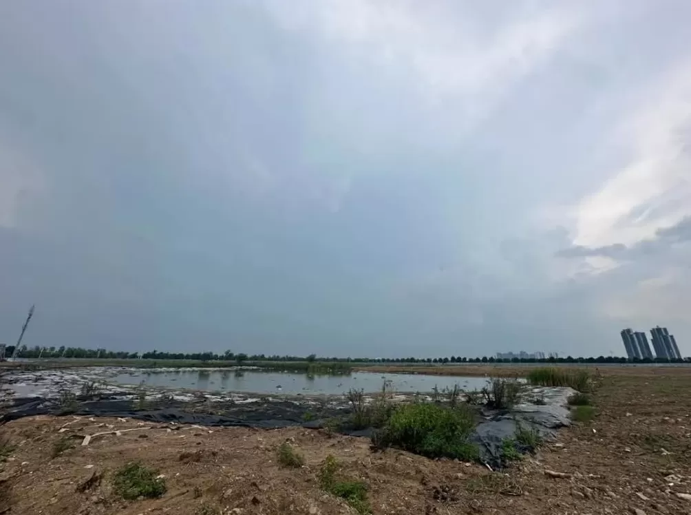 东莞土地案争议：17亿元全额付款土地被无偿收回，再罚款3亿-第1张图片-