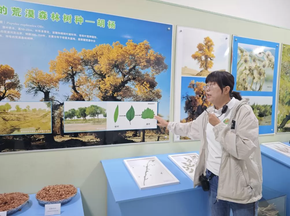 沙漠中的科学绿洲：吐鲁番沙漠植物园50年来引种800余种植物-第3张图片-