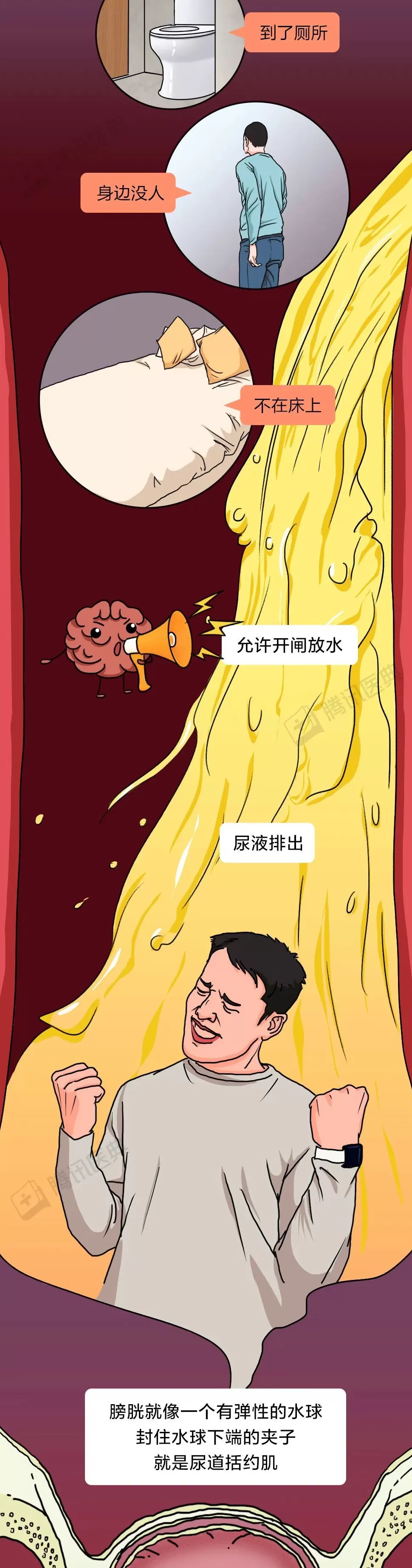 膀胱最怕的这件事，你可能每天都在做-第5张图片-
