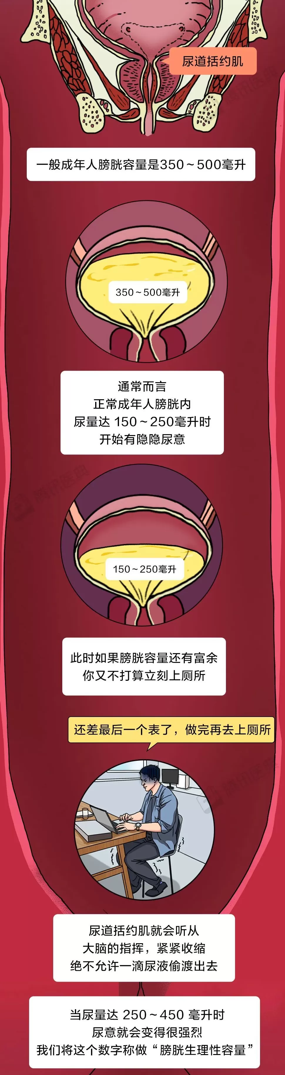 膀胱最怕的这件事，你可能每天都在做-第6张图片-