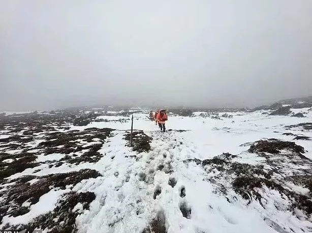 4名中国游客在澳大利亚登山徒步时突遭极端天气，1人不幸身亡-第1张图片-
