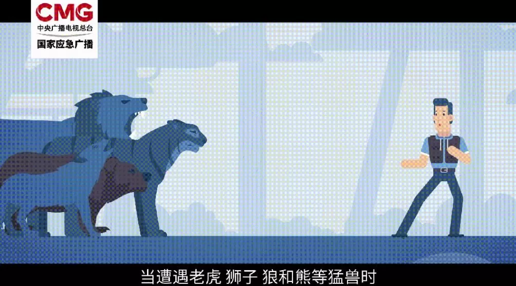 被熊袭击能装死吗？秋季“熊出没”如何避险-第5张图片-