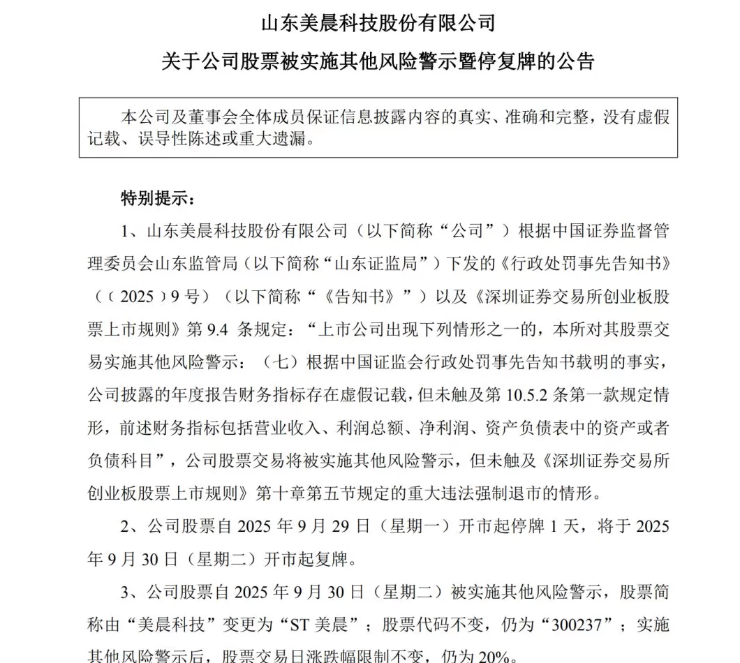 潍坊上市公司美晨科技虚增收入利润，公司及相关责任人将面临警告、罚款及市场禁入-第2张图片-